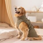 Autumn & Winter Minimalist Label Cotton Padded Outdoor Vest, Pet Apparel for Medium & Large Dog Breeds - Image 2