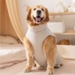 Autumn & Winter Minimalist Label Cotton Padded Outdoor Vest, Pet Apparel for Medium & Large Dog Breeds - Image 4