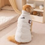 Autumn & Winter Minimalist Label Cotton Padded Outdoor Vest, Pet Apparel for Medium & Large Dog Breeds - Image 3