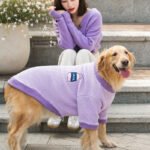 Autumn & Winter 2-Legged Fleece Dog Hoodie for Medium & Large Breeds (Golden Retriever, Samoyed)