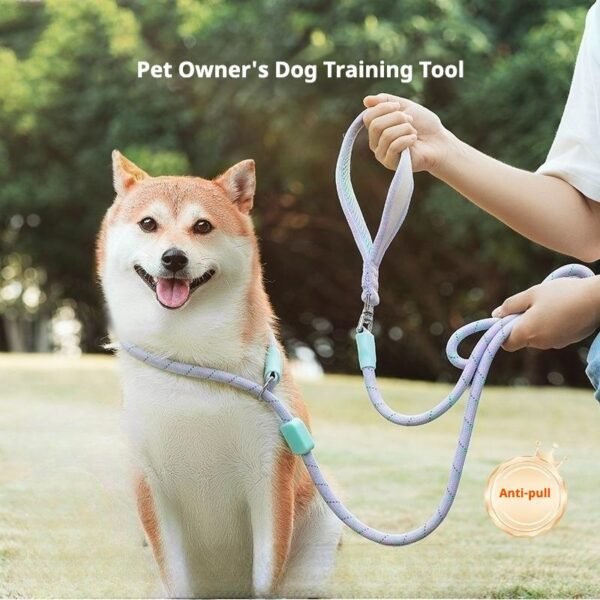 Color-Block Dog Slip Lead, No-Pull Pet Leash for Small & Medium Dogs, Outdoor Walking Lead for Teddy, Bichon & Golden Retriever