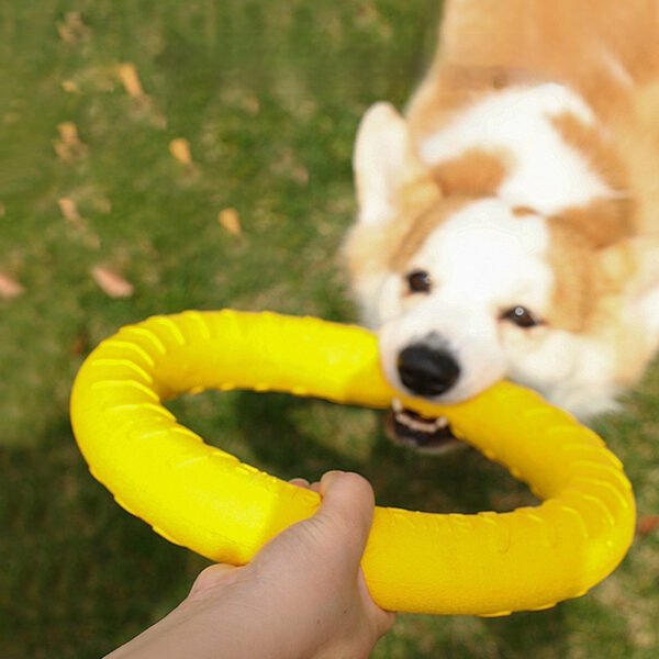Outdoor Dog Training Tug Ring, Interactive Human-Pet Toy, Safe Soft Rubber Bite-Resistant Chew Toy for Self-Play & Energy Burning