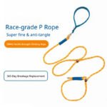 Professional Dog Show Slip Lead, No-Pull P-Leash for Outdoor Walking, Universal Dog Leash for Medium & Large Breeds - Image 2