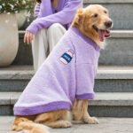 Autumn & Winter 2-Legged Fleece Dog Hoodie for Medium & Large Breeds (Golden Retriever, Samoyed) - Image 2