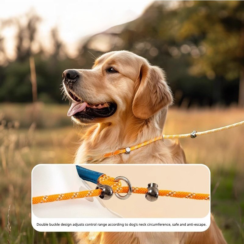 主图_02。0 Professional Dog Show Slip Lead, No-Pull P-Leash for Outdoor Walking, Universal Dog Leash for Medium & Large Breeds - Image 1