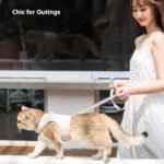 Escape-Proof Cat Harness and Leash Set, All-Season Breathable Pet Harness, Adjustable Walking Leash for Cats & Small Dogs - Image 3