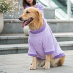 Autumn & Winter 2-Legged Fleece Dog Hoodie for Medium & Large Breeds (Golden Retriever, Samoyed) - Image 4