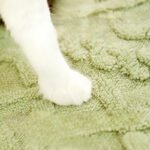 Solid Color Ins-Style Pet Blanket, Thick Flannel Warm Mat for Cats & Dogs, Cozy Sleeping Pad for Dog Beds - Image 2