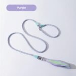 Color-Block Dog Slip Lead, No-Pull Pet Leash for Small & Medium Dogs, Outdoor Walking Lead for Teddy, Bichon & Golden Retriever - Image 4
