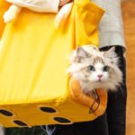 Portable Cat Bag with Paws-Out & Head-Out Design, Hands-Free Shoulder & Handheld Cat Walking Bag for Outdoor Use
