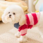 Autumn & Winter Pet Polar Fleece Jacket for Kittens & Small Dogs, Minimalist Striped Shirt Collar 2-Leg Thickened Apparel - Image 2