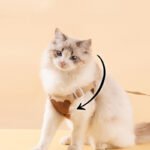 Escape-Proof Cat Harness and Leash Set, Adjustable Vest-Style Pet Harness for Cats & Dogs, Outdoor Walking Pet Leash - Image 2