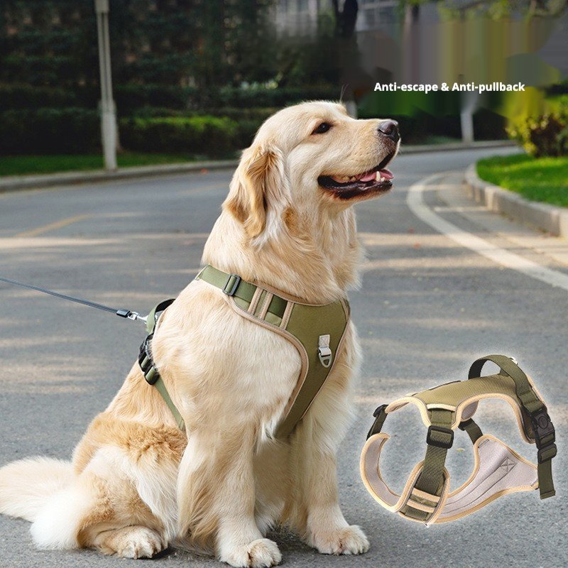 主图_01。0 No-Pull Dog Harness with Leash for Medium & Large Dogs, Breathable Outdoor Walking Harness for Golden Retrievers - Image 1