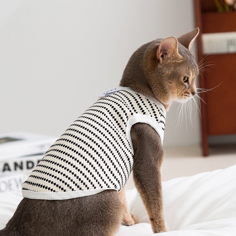 主图_1 Spring & Summer Minimalist Style Breathable Polka Dot Cat Vest - Image 1
