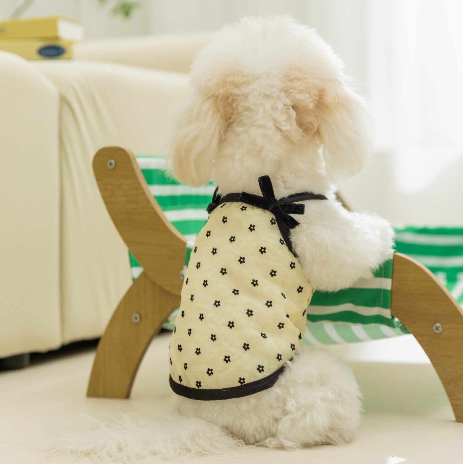 主图_1 Spring & Summer Mesh Polka Dot Bowknot Vest for Small & Medium Dogs - Imagen 1