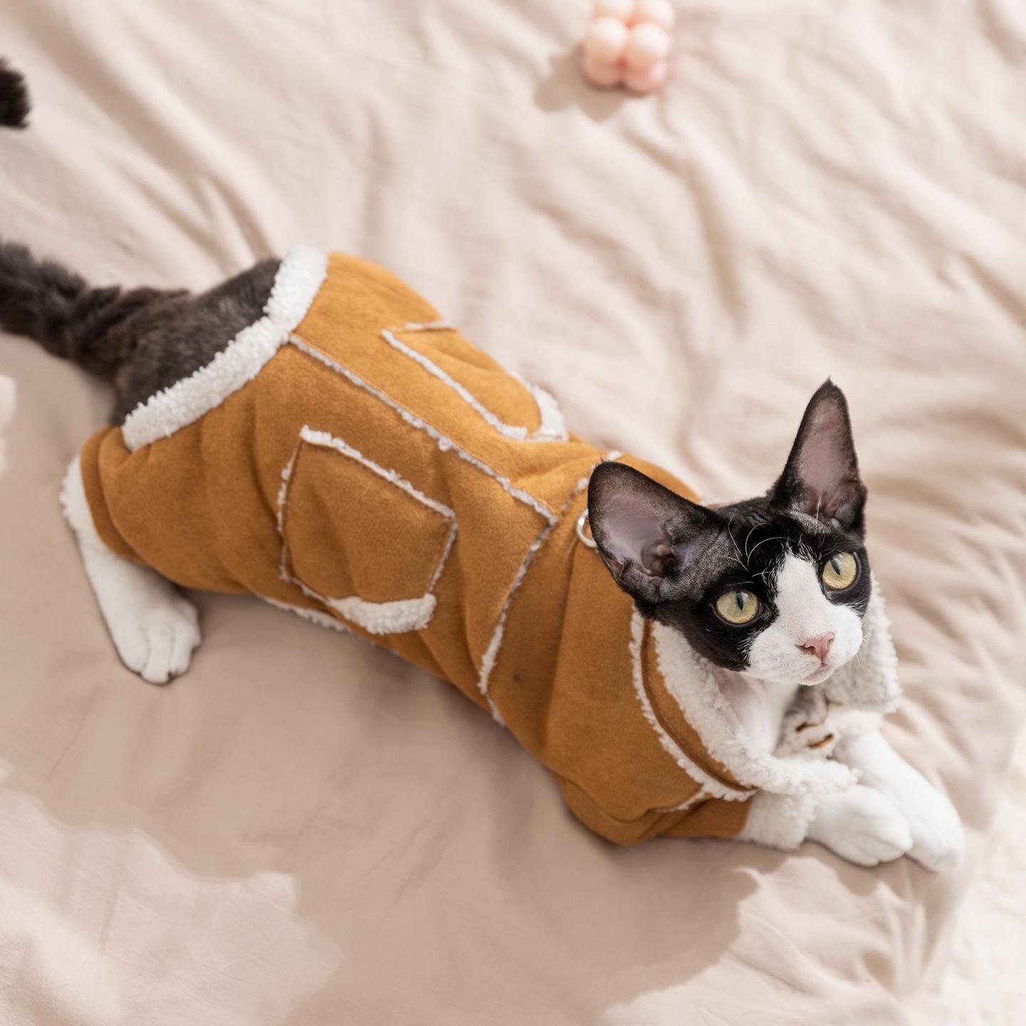 主图_1_2025-12-22_22-27-25 Autumn & Winter Thickened Warm Faux Suede 4-Legged Cotton Padded Pet Apparel for Kittens and Puppies - Imagen 1